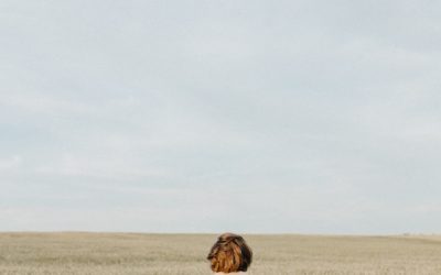 Workplace Loneliness Affects Health and Wellbeing