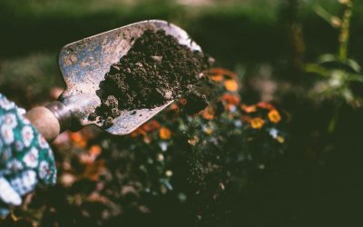 Returning to the Roots: The Essence of Employee Assistance
