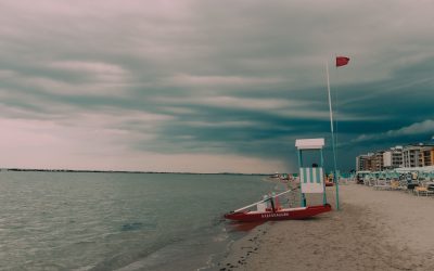 Is High EAP Utilisation a Red Flag, or a Trust Signal?